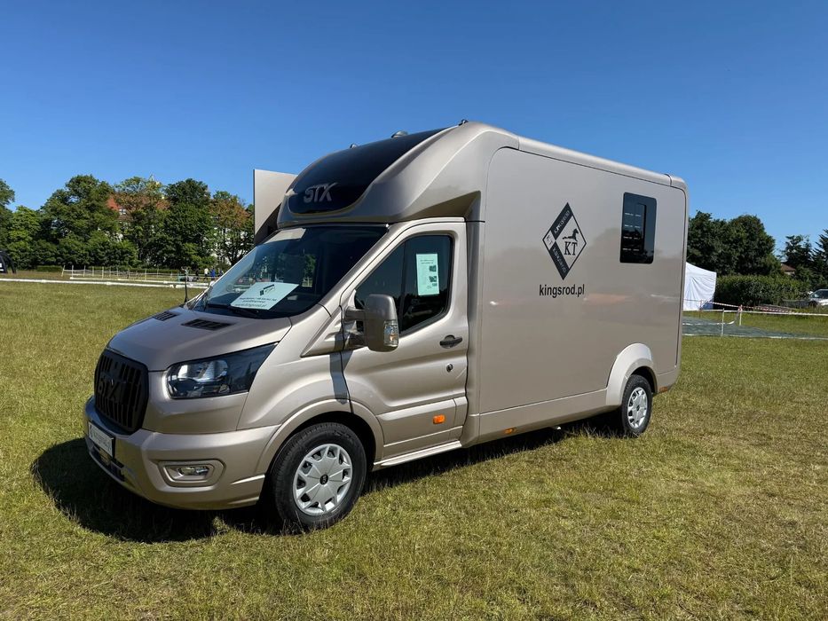 Ford Transit STX Koniowóz. NOWY  Ford Transit STX, Koniowóz. NOWY