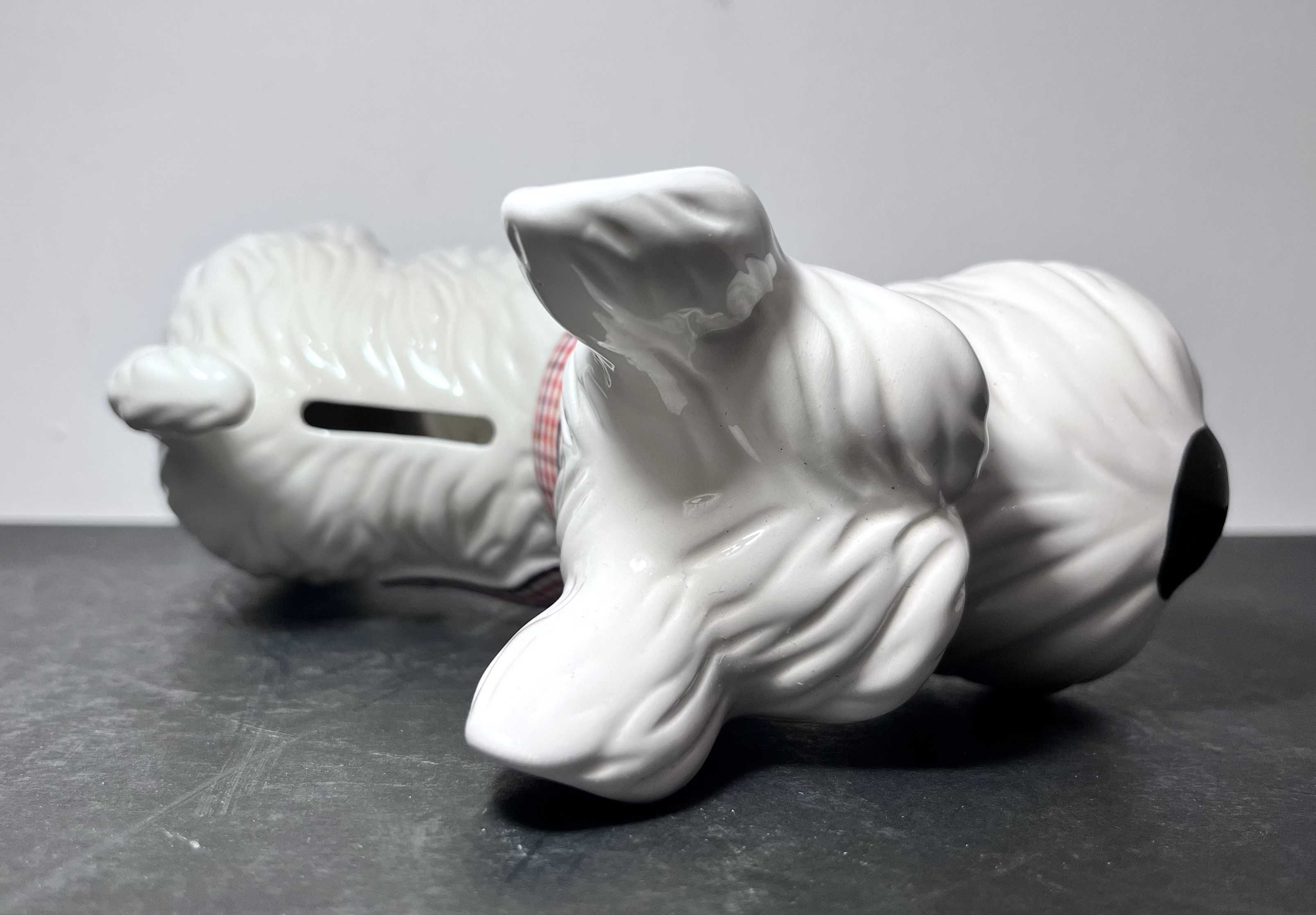 Skarbonka/ figurka ceramiczna Sznaucer!
