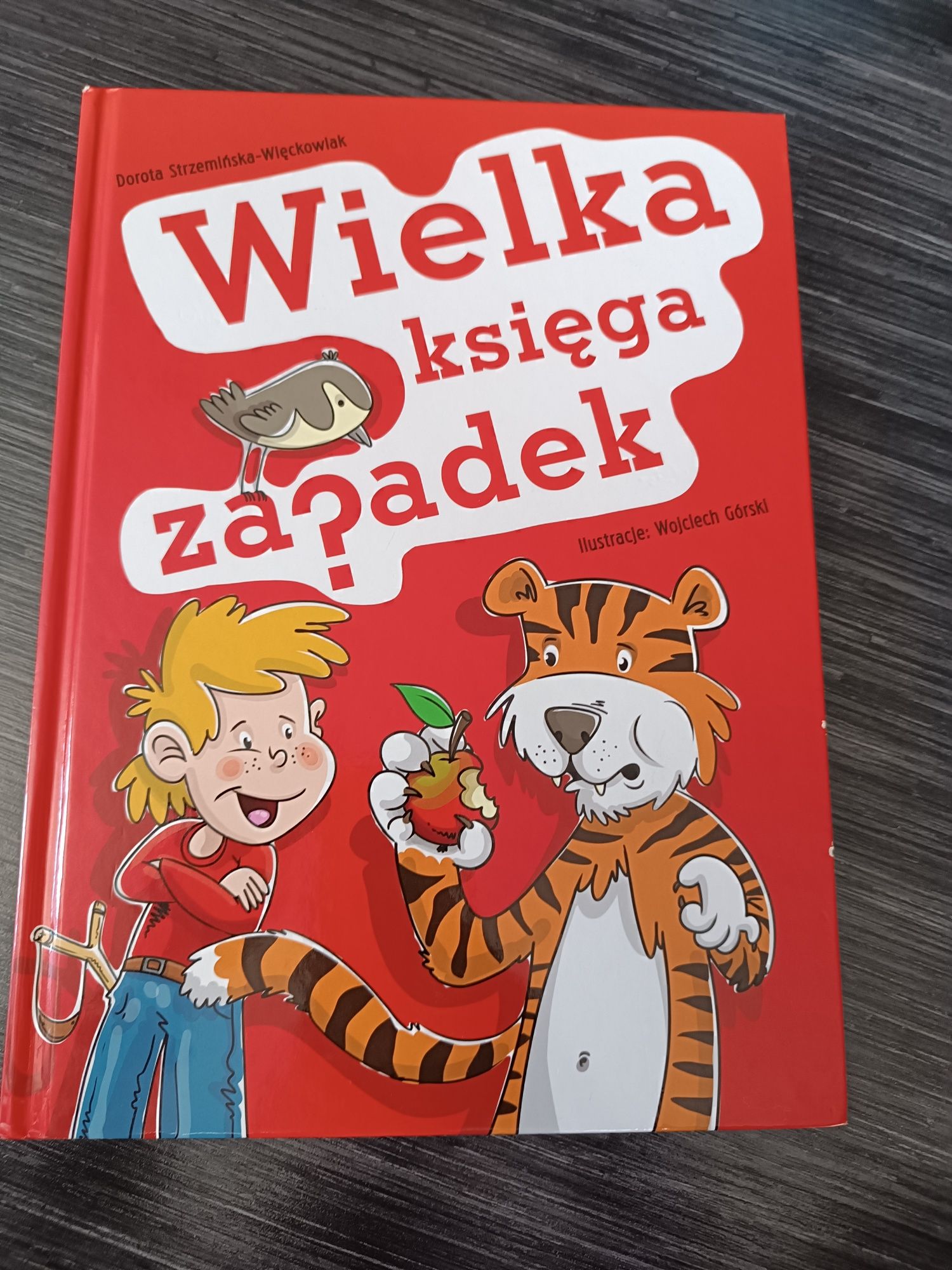 Wielka księga zagadek