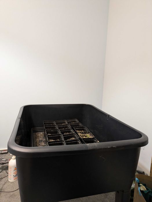 Zielnik mini szklarnia z panelem do uprawy 225 led 36w
