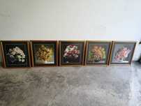 Coleção de 5 Quadros Antigos