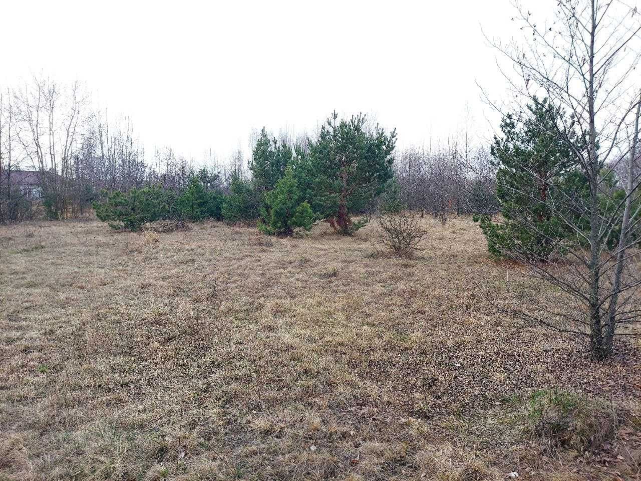 Ділянка 10,5 соток під будинок в с.Садки (26133795)