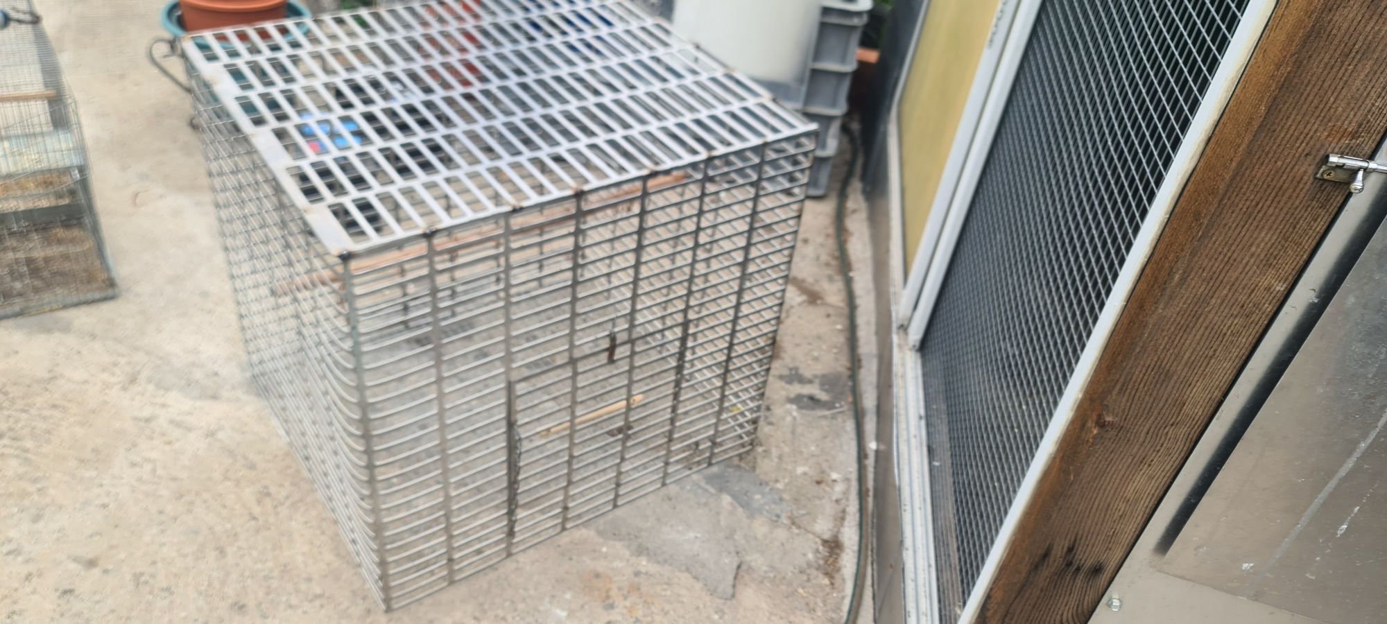 Gaiola para aves de grande porte