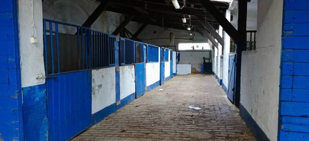 Wynajem stajni (obiektu lub boksów)