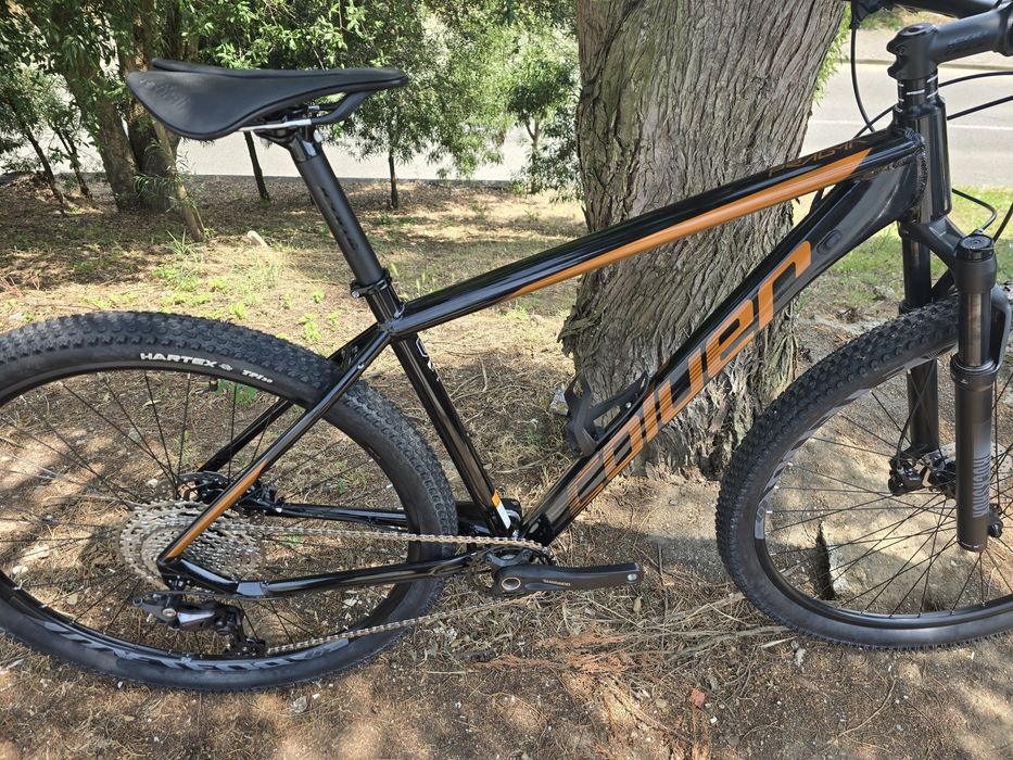 Btt 29 nova 12x1v L oportunidadeee