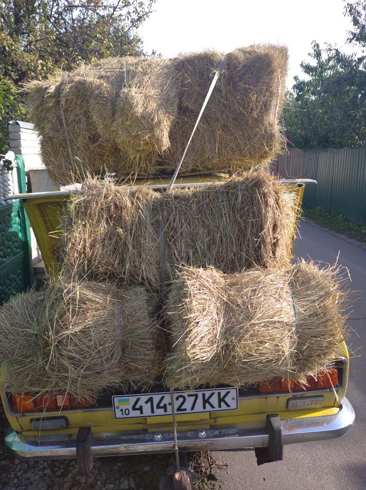 Продам, обміняю  не вареного трудягу в оригіналі на повному ходу.