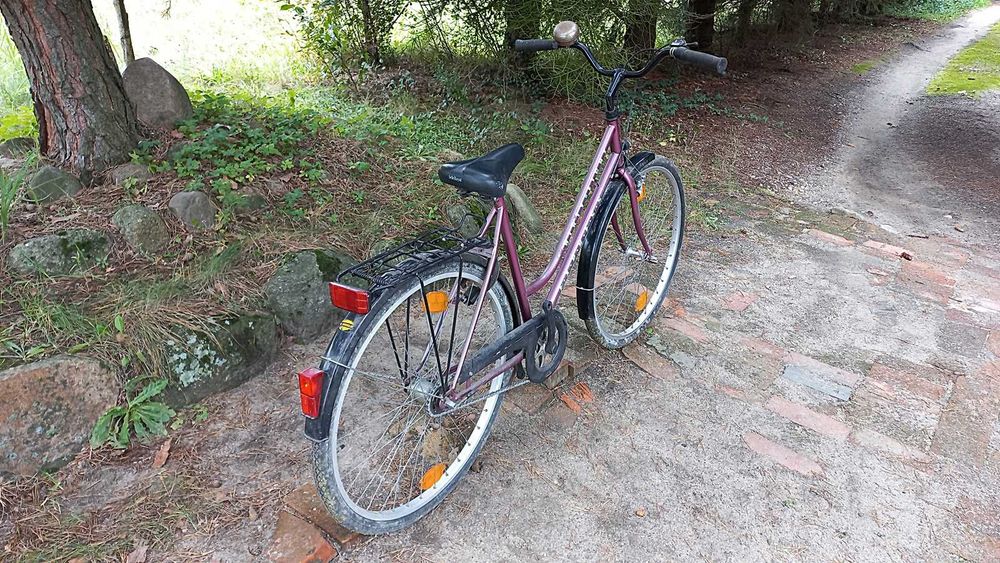 Rower Miejski Damski Express Hirty Eight 3 biegi Torpedo Damka 28