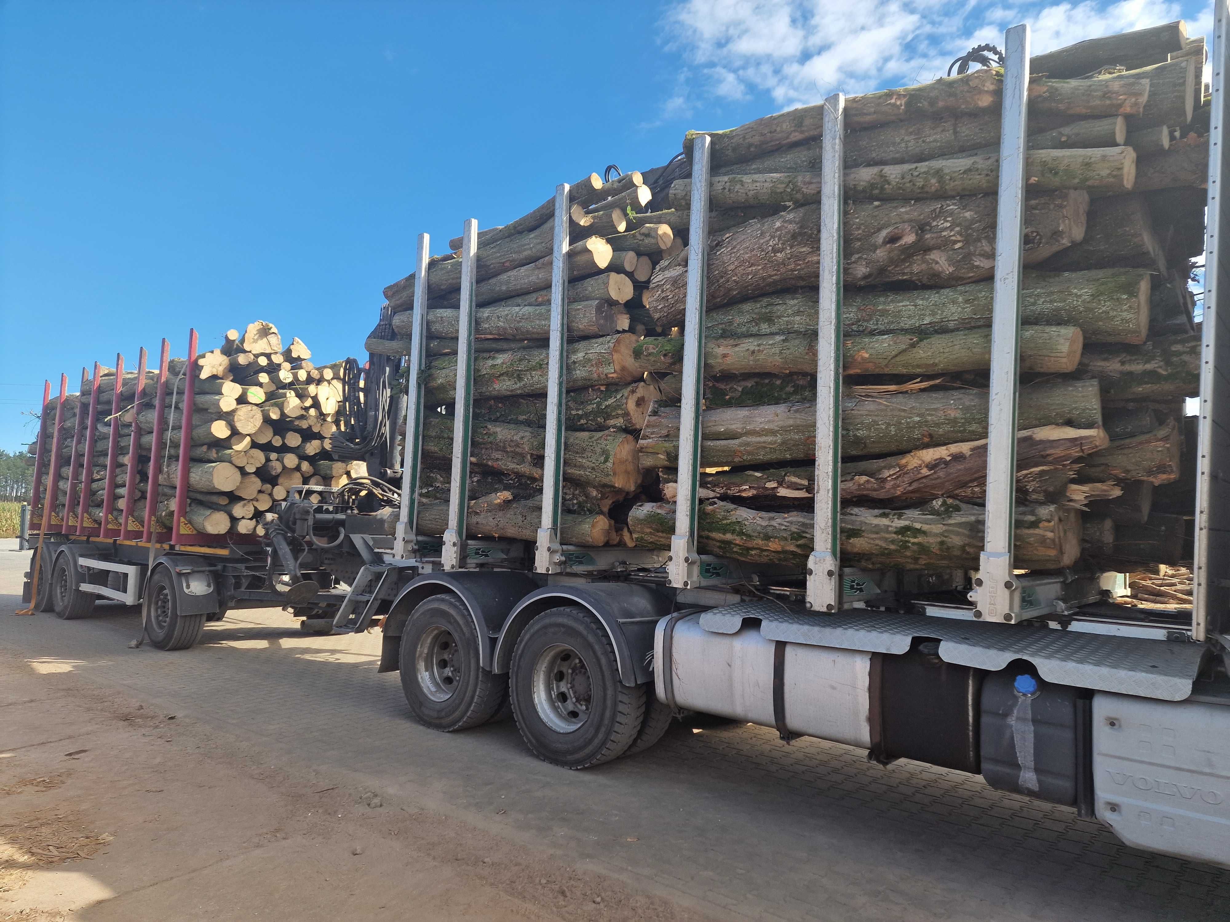 DrewKom Drewno kominkowe GRAB w kłodzie dl. 2,5m S2a S2b transport HDS
