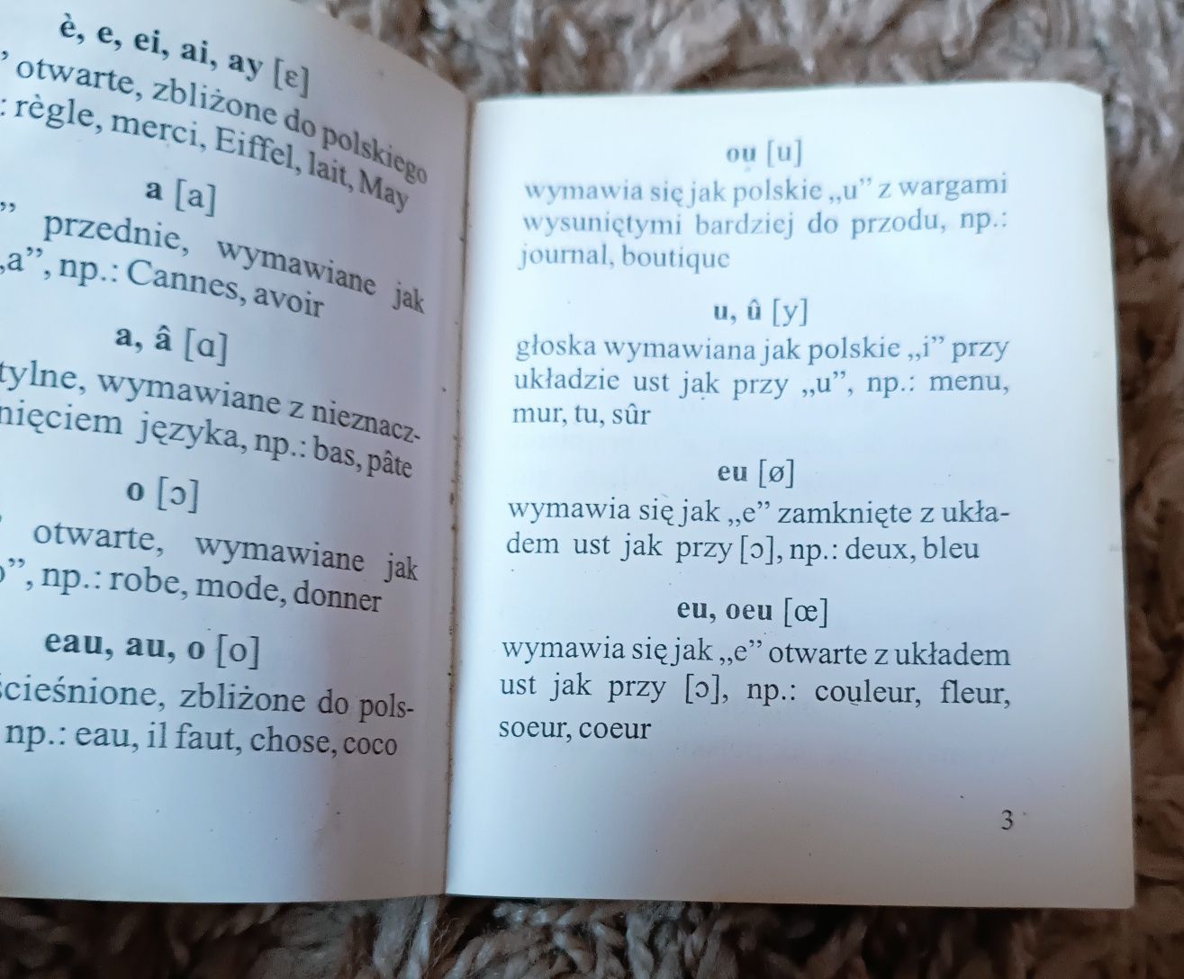 Kieszonkowy słowniczek polsko-francuski