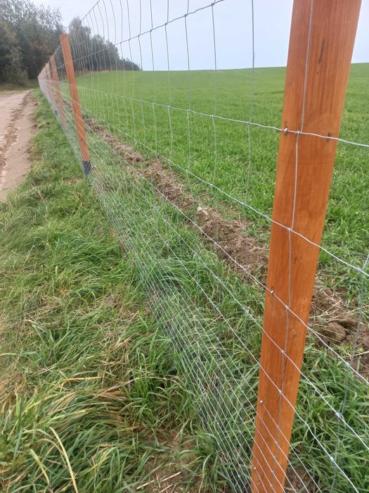 Siatka leśna ocynkowana 150, 180, 200cm ogrodzeniowa tymczasowa słupki