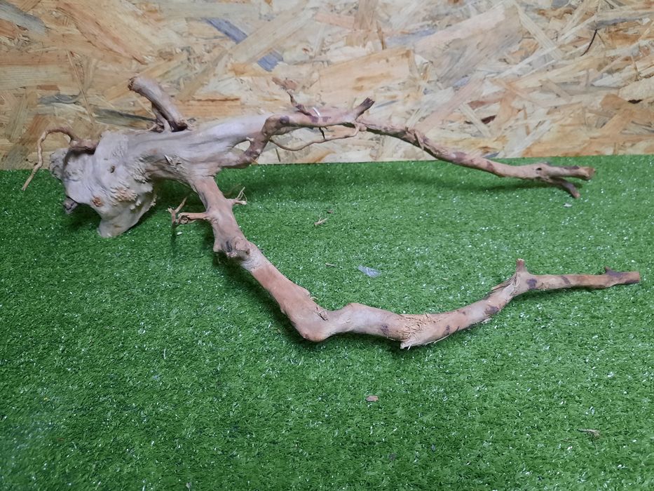 Korzeń do akwarium Red Moore Wood nr 816 o wymiarach 65/20/32