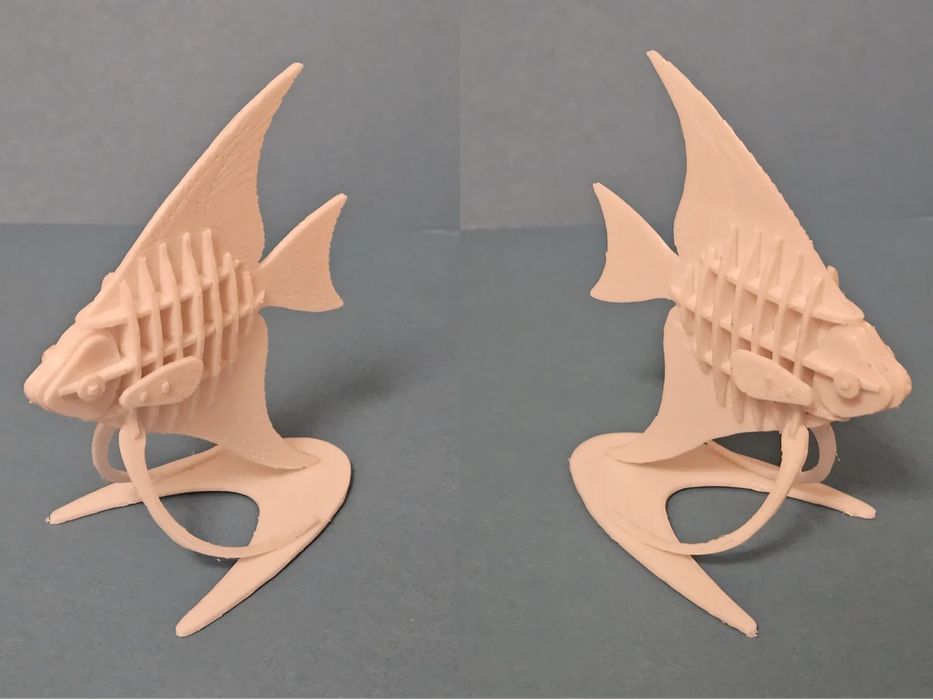 Quebra-Cabeças 3D Peixe-Anjo