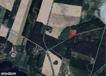 Działka przy lesie 4620 m2, blisko jezioro