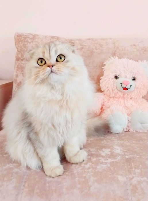 Срібний красунчик хлопчик Ведмедик