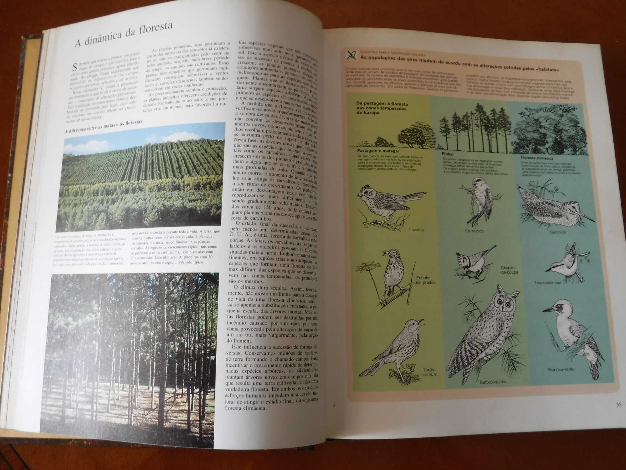 Ao Encontro da Natureza - Livro
