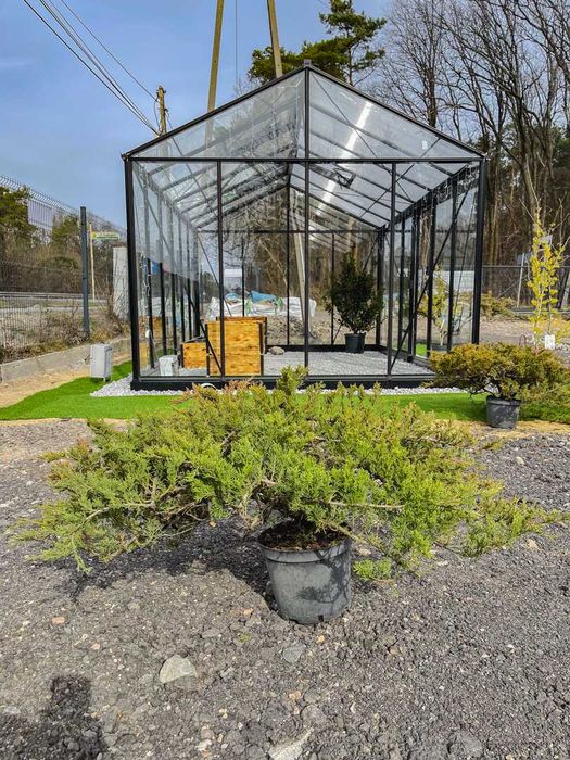 Szklarnia ogrodowa.  PROMO! Wymiary: 236x309x181