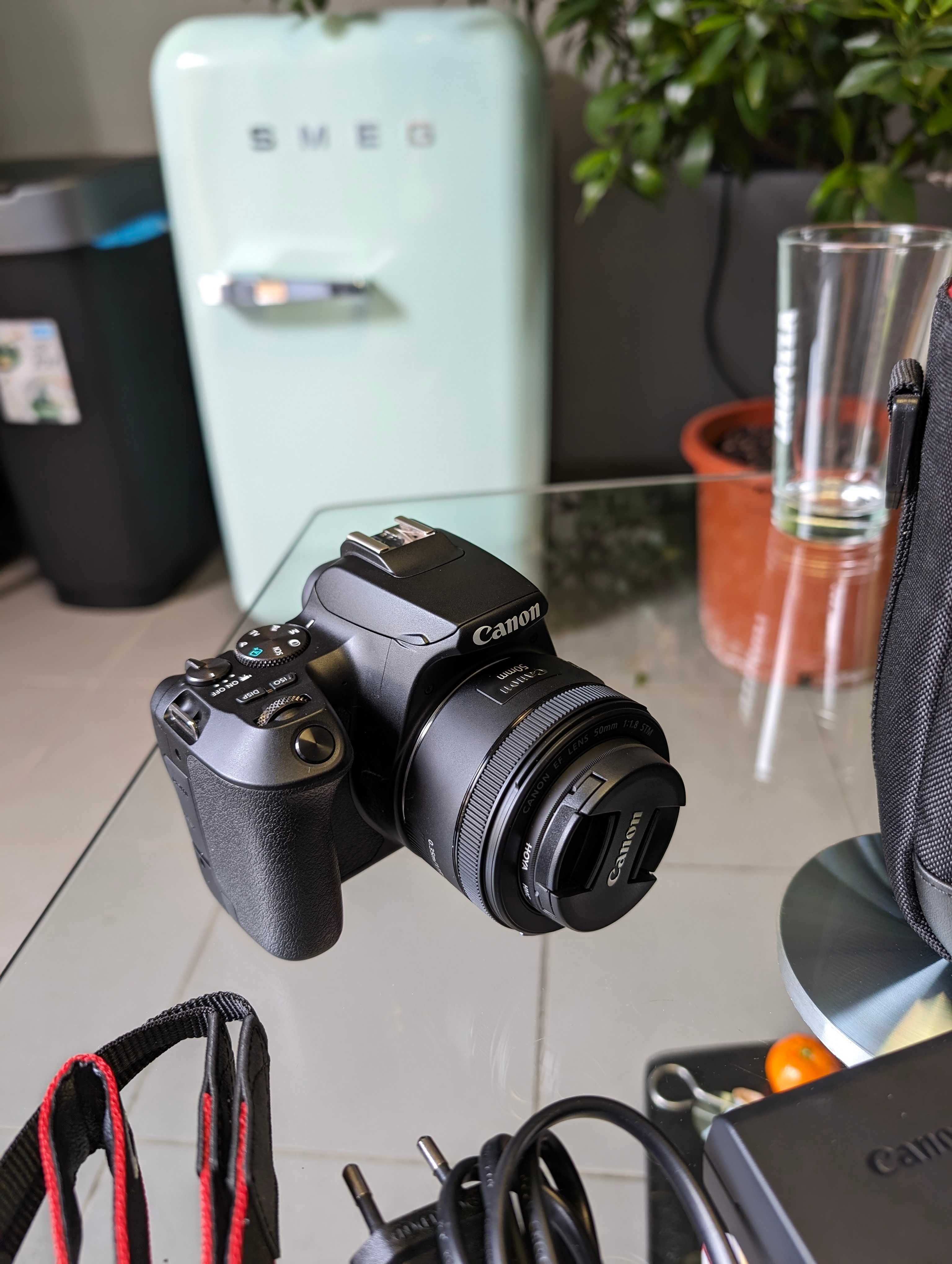 Aparat lustrzanka CANON EOS 250D + Obiektyw Canon EF 50mm f/1.8 NOWY
