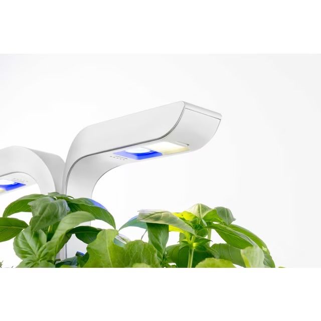 Veritable Smart Edition