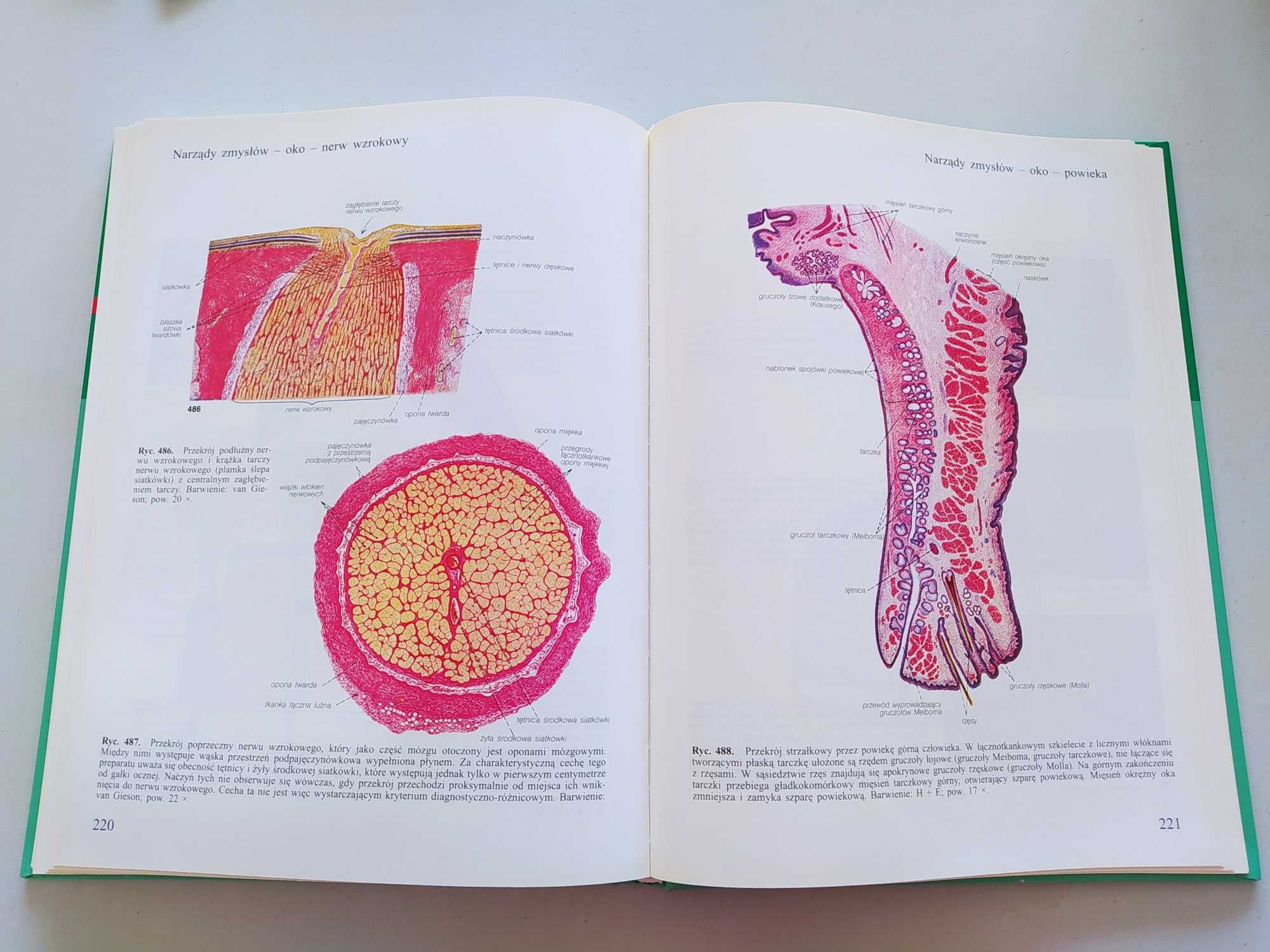 Atlas histologii, Sobotta, histologia, cytologia