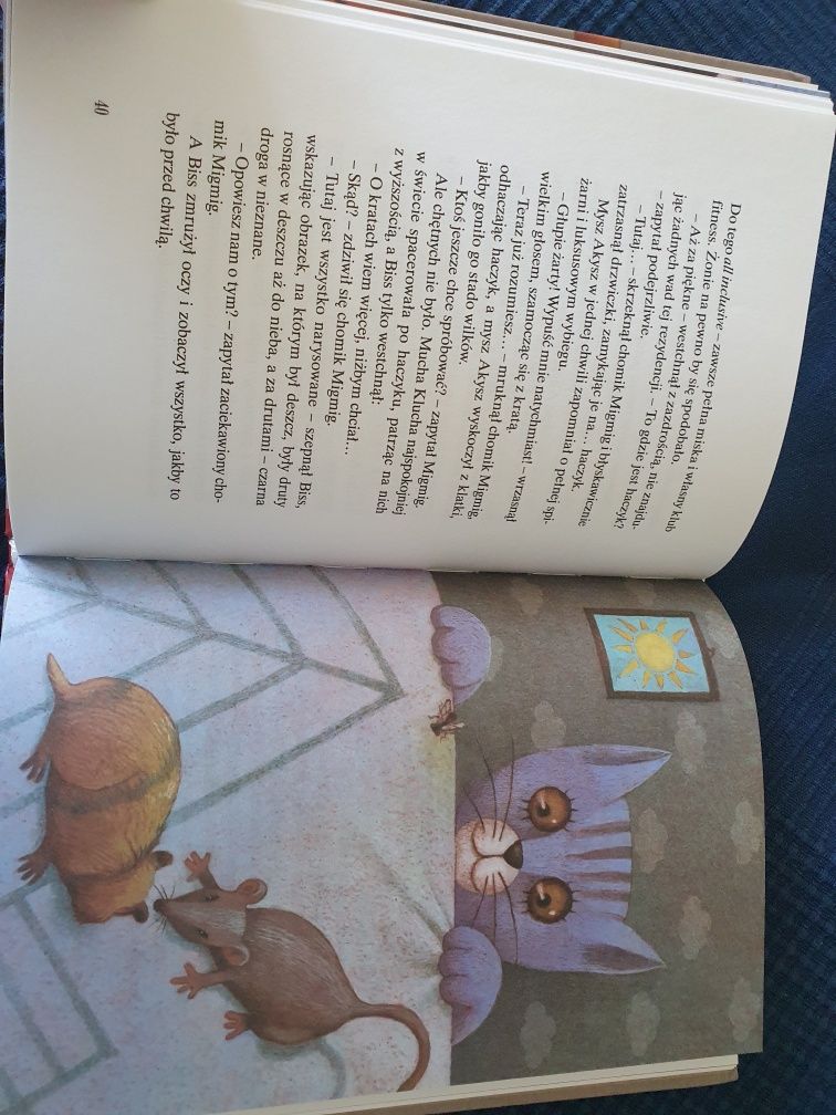 "Kot Karima i obrazki" Liliana Bardijewska