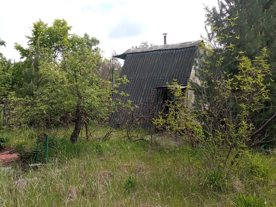 Продам дачний будинок в СТ Лісовий