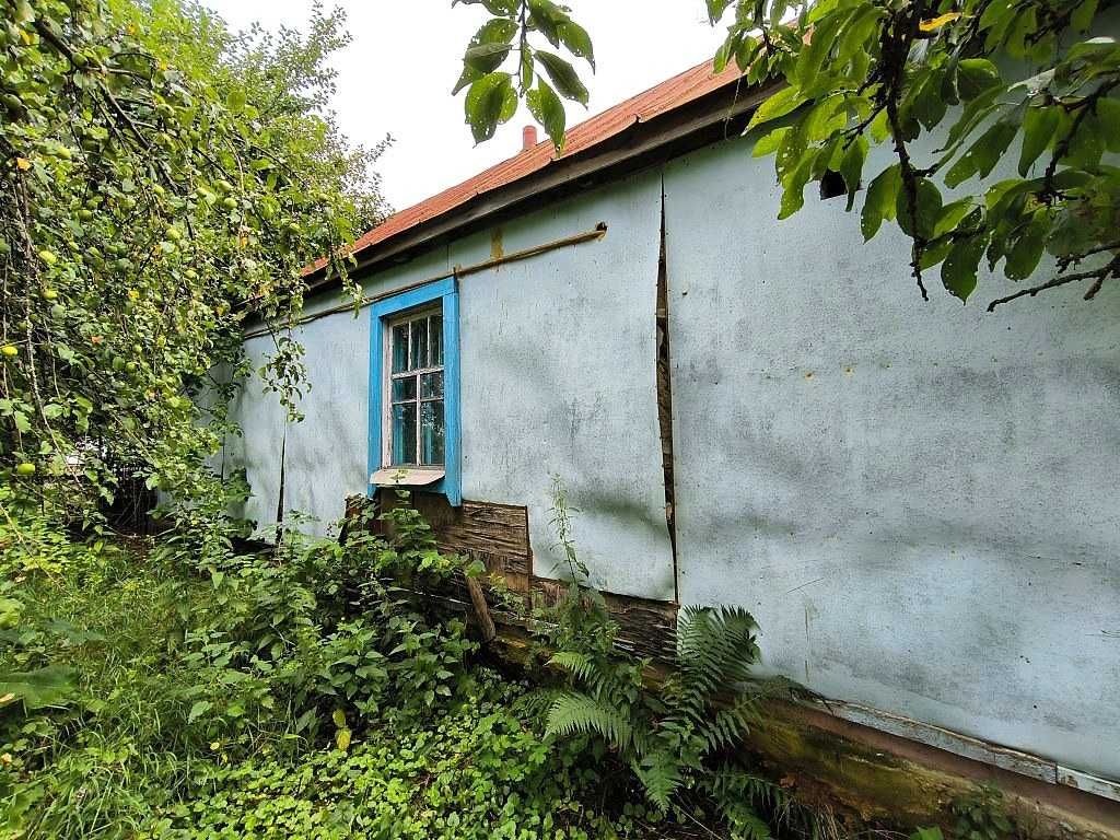 Продам жилий будинок та 71сот.землі в с.Грузьке.Тихе місце.