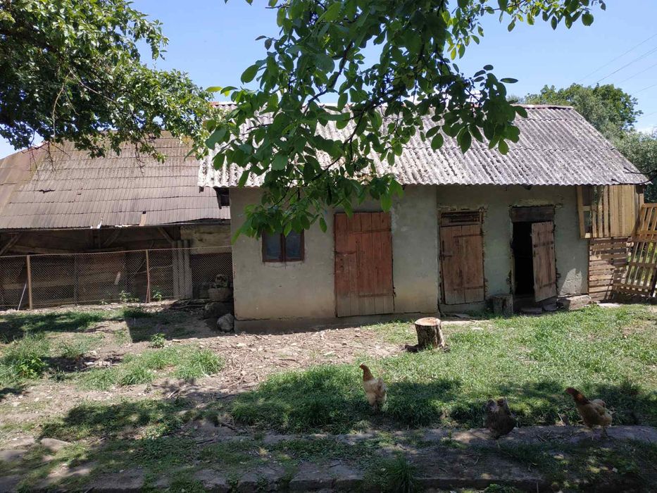 Будинок з ділянкою від власника