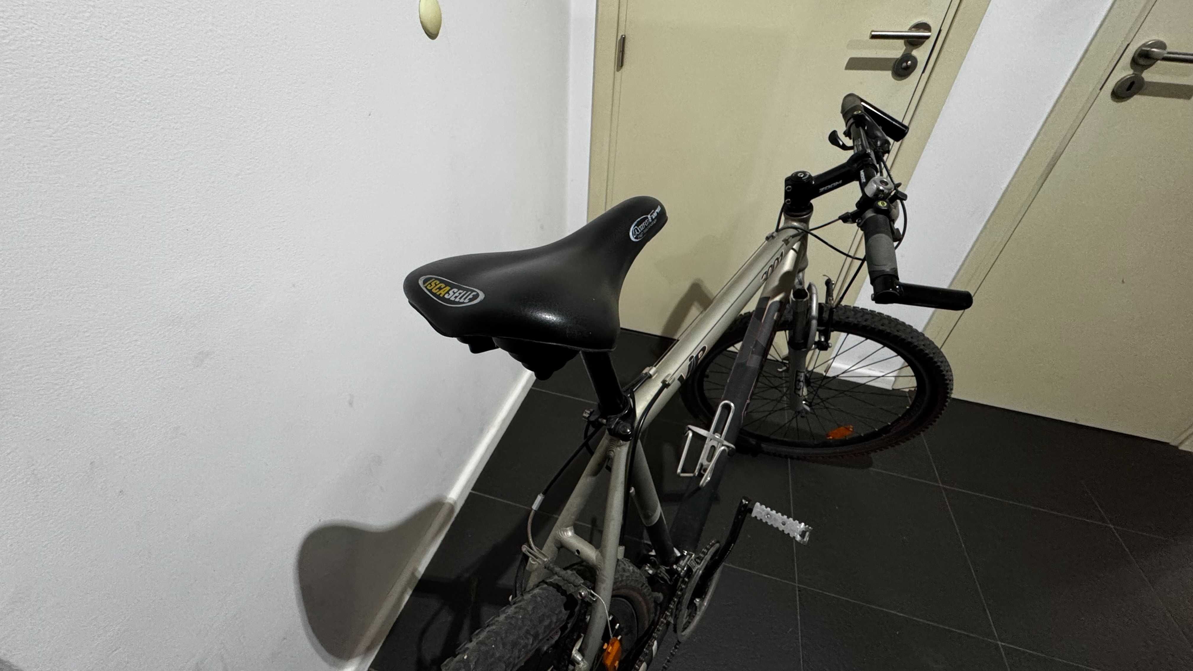 Rower MTB Arkus 3001