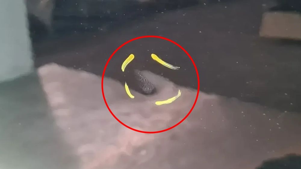 Porta frente esquerda SAAB 9-3 Sedan (YS3F)