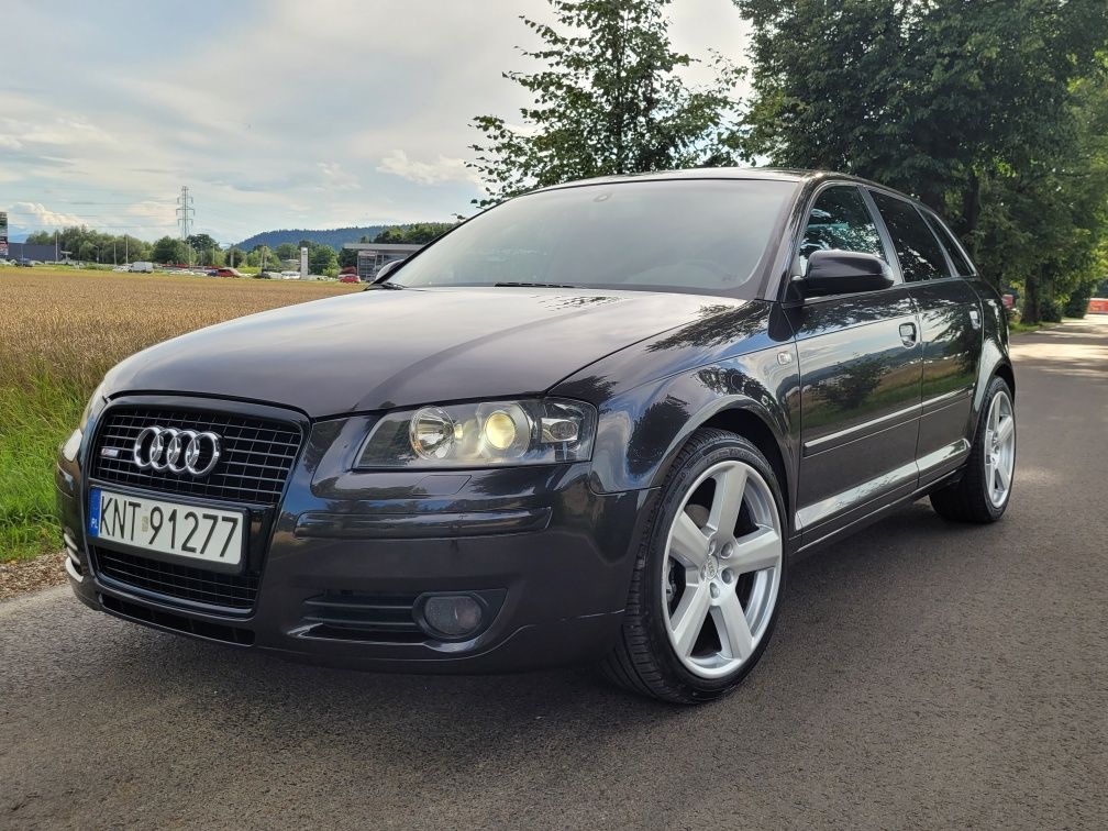 Audi A3 8P 1.9 TDI S-Line Alcantara Xenon NOWE CZĘŚCI!