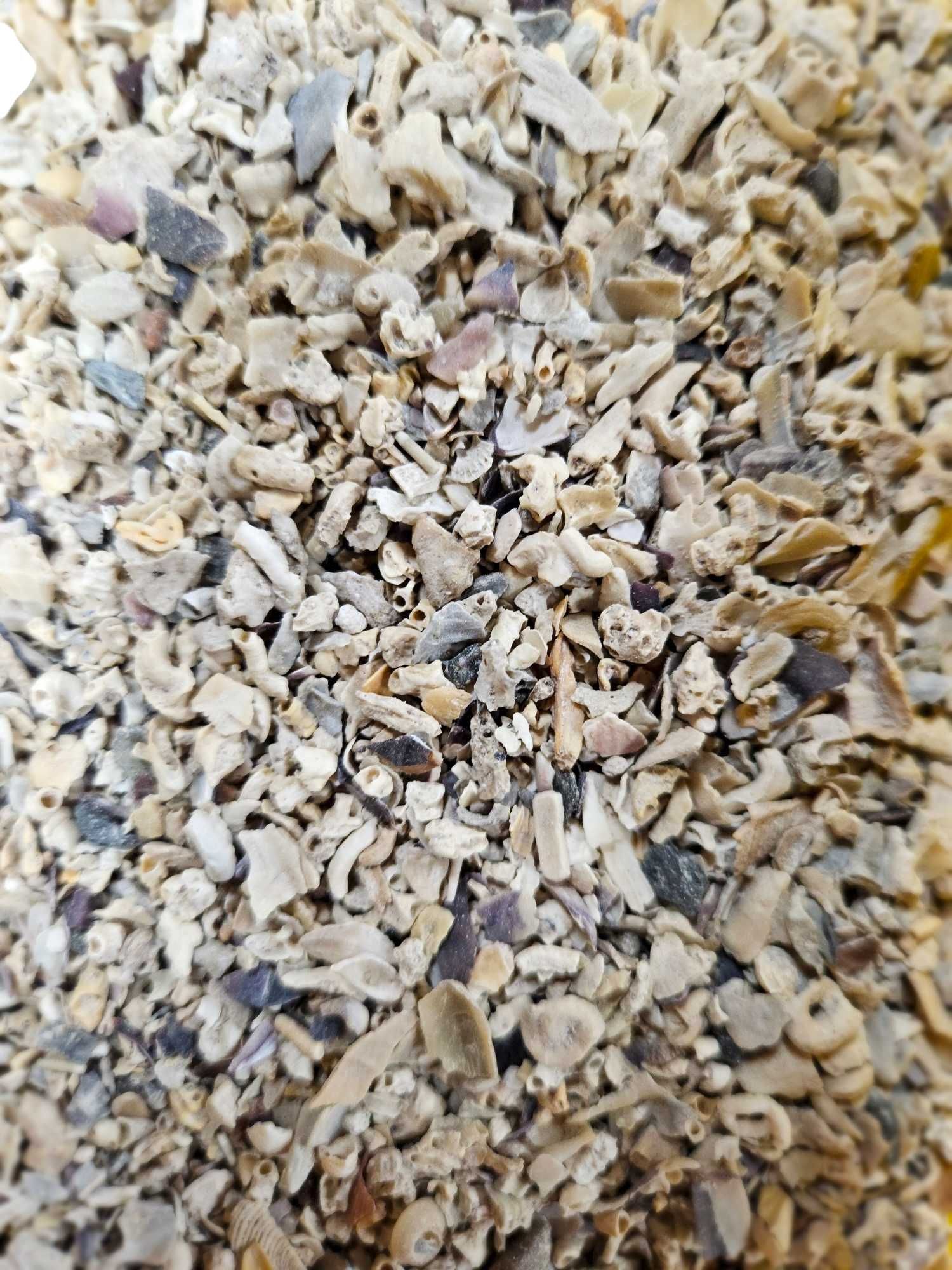 Grit gryt kruszone muszle dla gołębi kur ptaków 15 KG