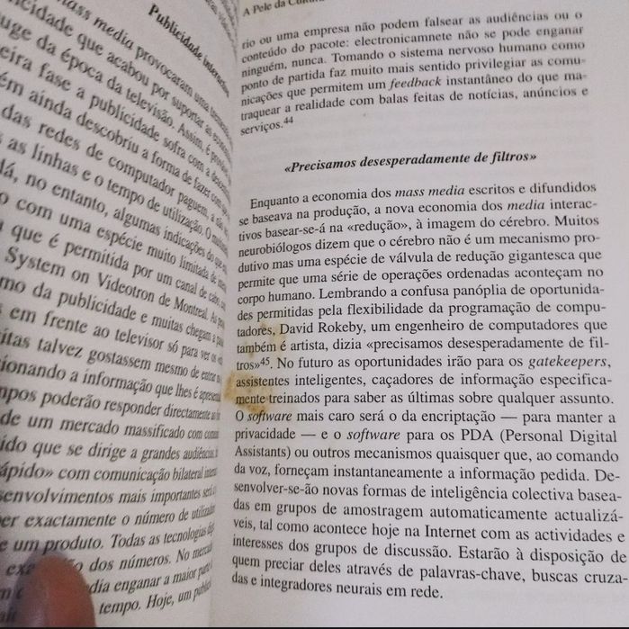 A Pele da Cultura (Derrick De Kerckhove)