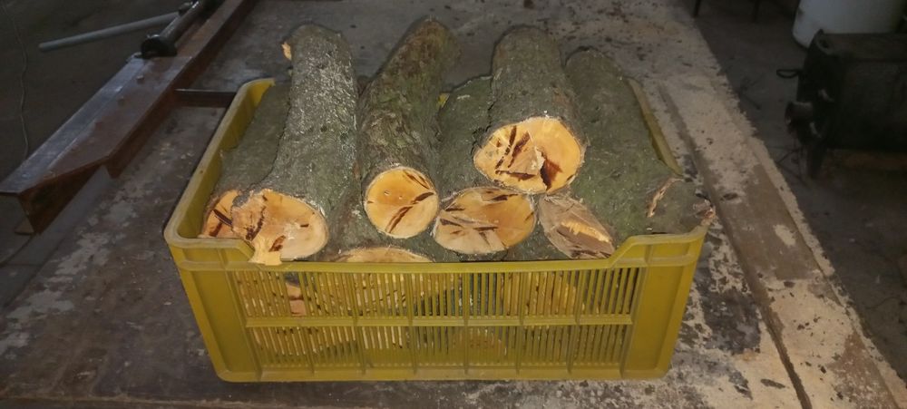 Дрова   з  фруктового дерева , груша