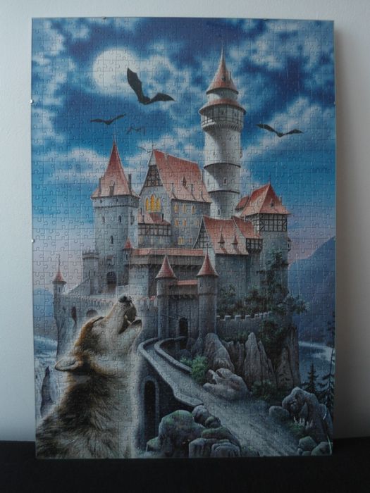 Puzzle Castorland 1000 elementów