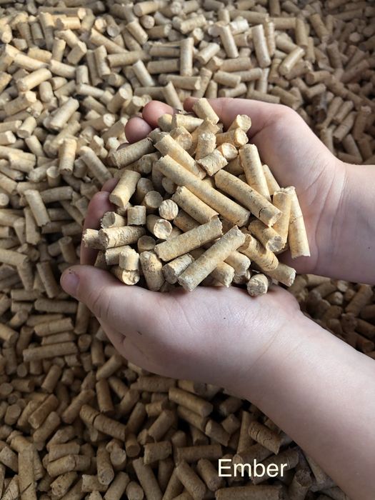 Groszek, wegiel, mial i pellet. Polski Śląski