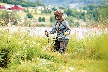 Koszenie trawy kosą spalinową, szybko i tanio profesjonalnie