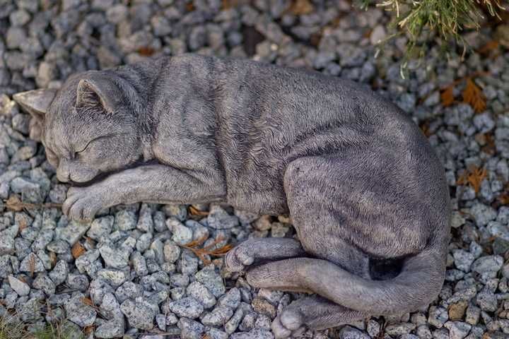 Wyposażenie dekoracja zwierzeta ogrodowe kotek ogrodowy pies figurka