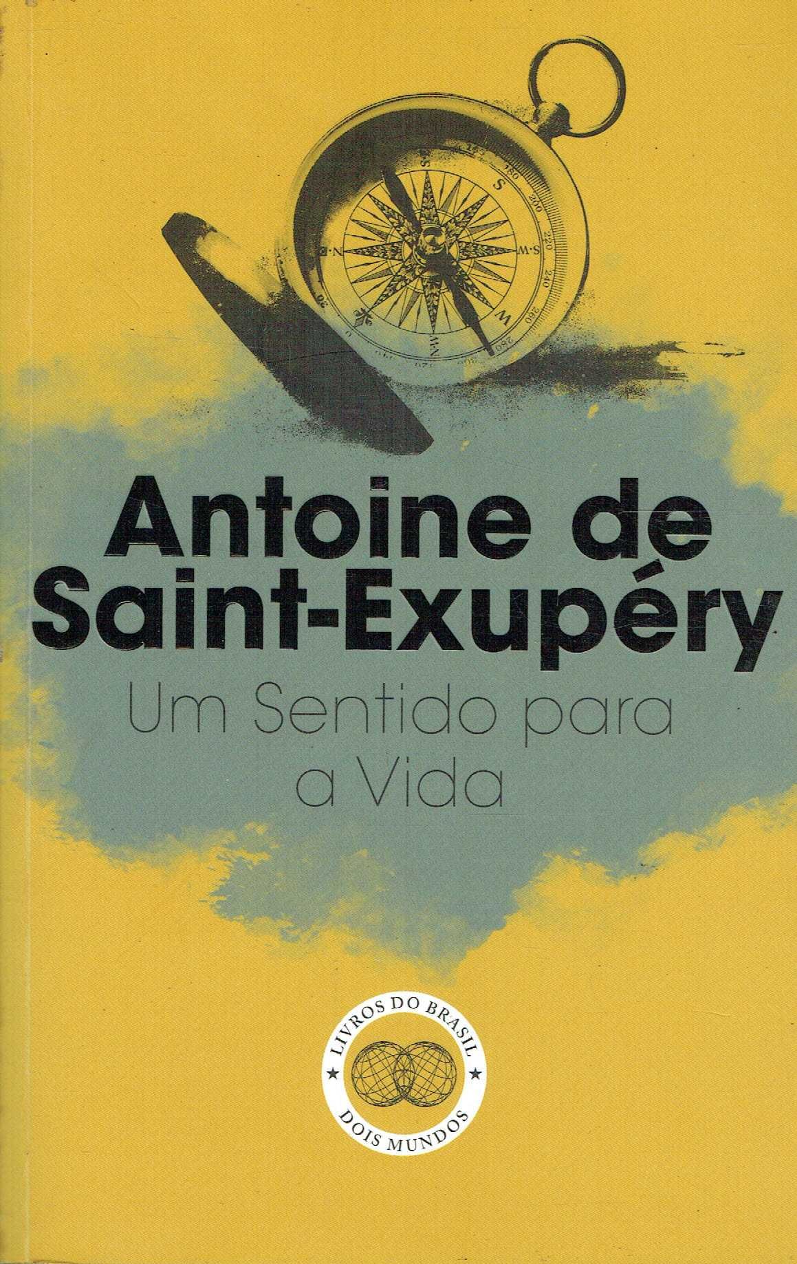 6751

Um Sentido para a Vida
de Antoine de Saint-Exupéry