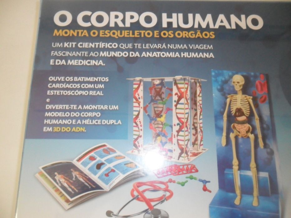 Set do corpo humano