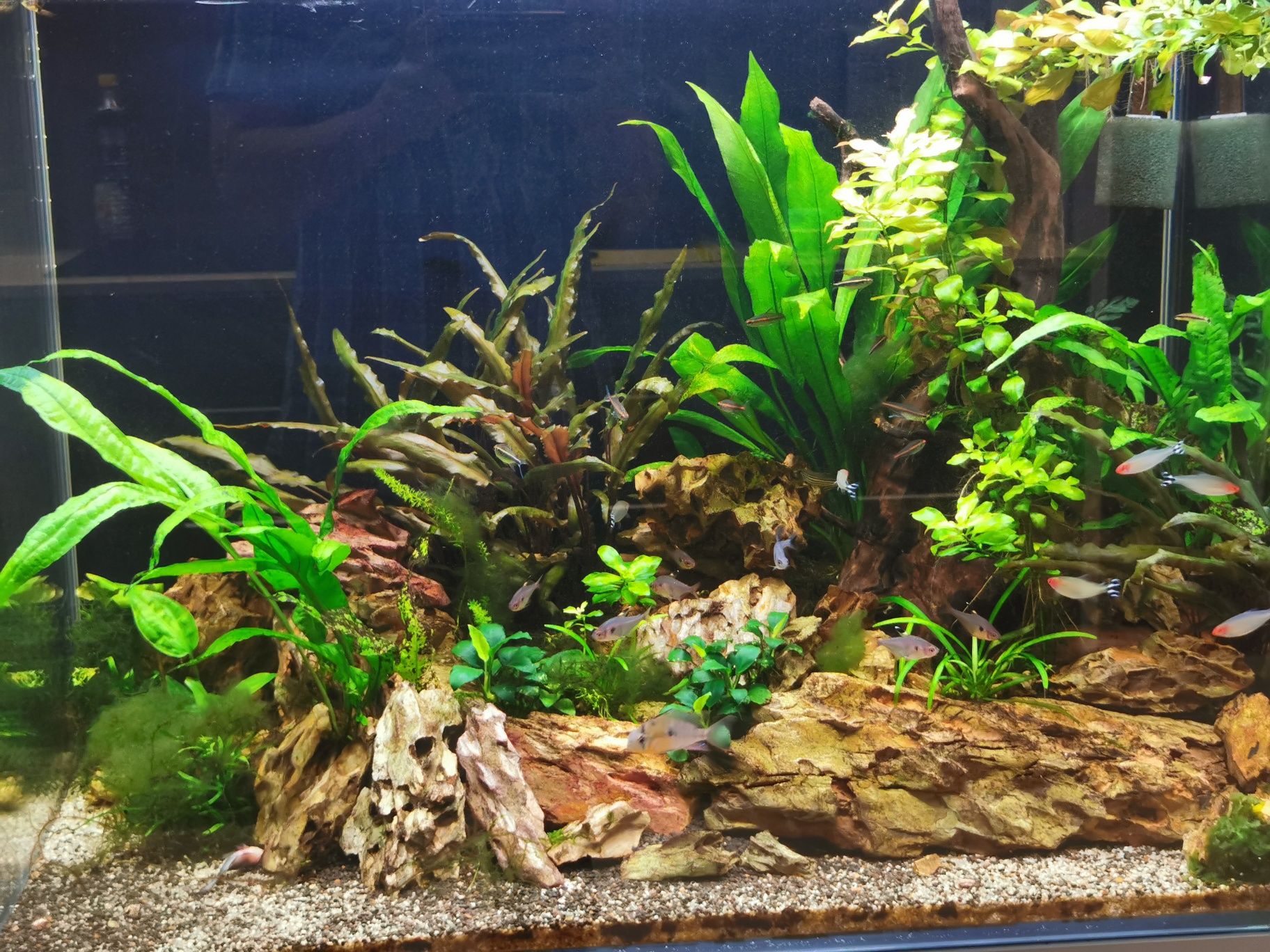 Aquário de 200l com equipamento-descida de preço