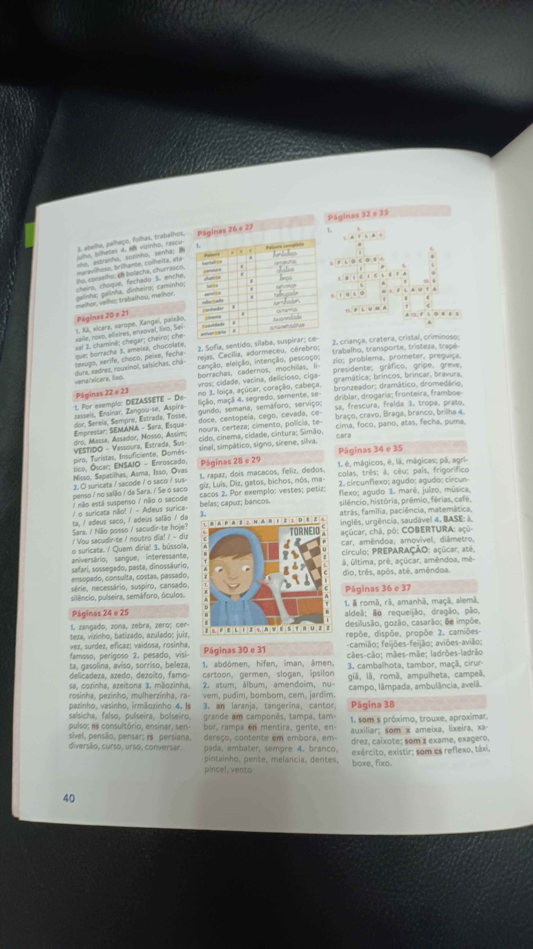 Aprendo a escrever sem erros 2 ano