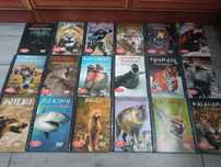 27 płyt DVD drapieżniki z bliska