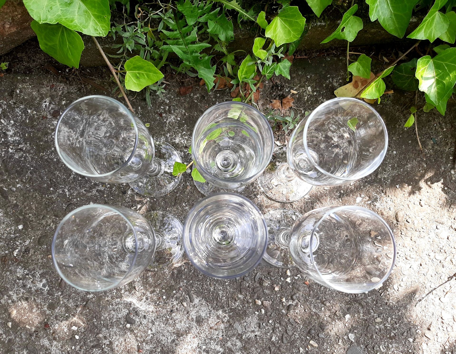 Komplet Kieliszków do Szampana do Domu Baru Wina Alkoholu Kieliszki