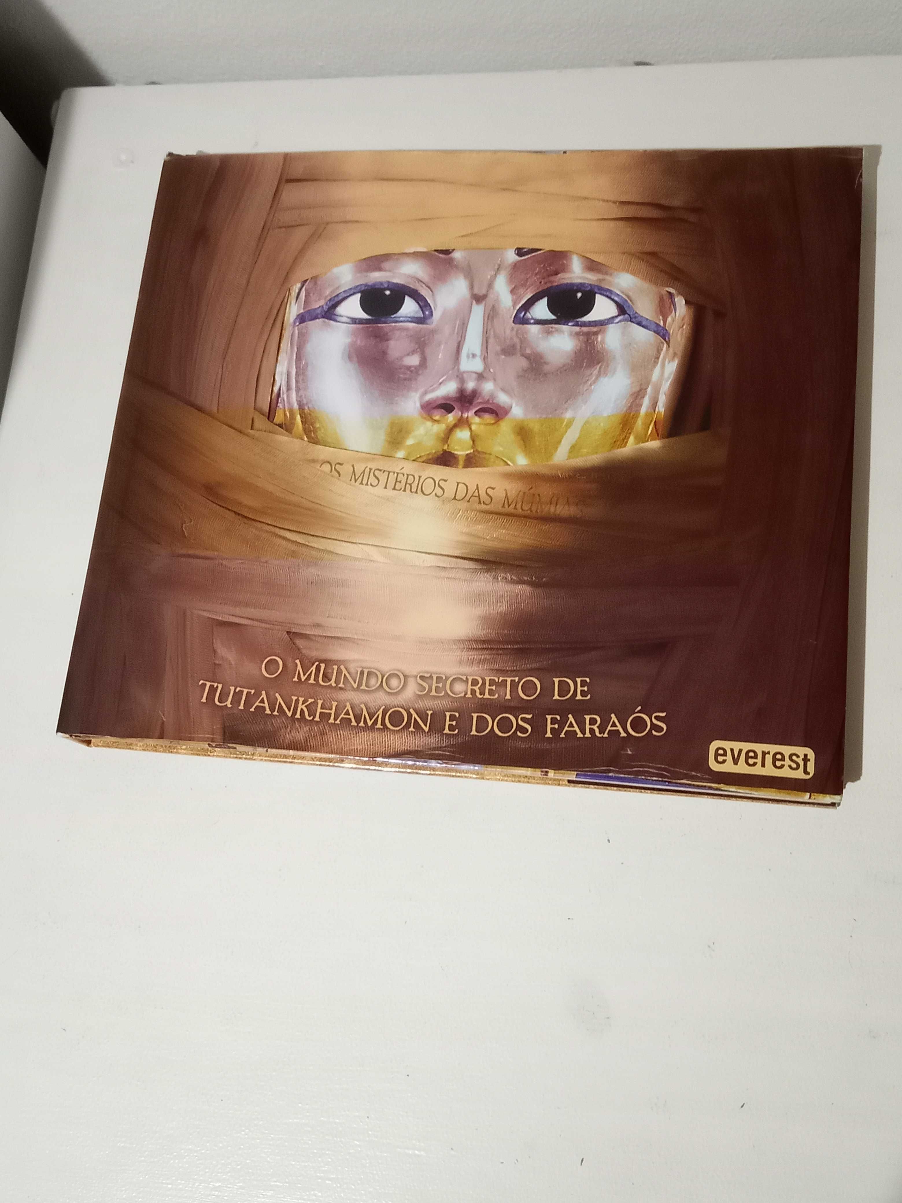 O Mundo Secreto de Tutankhamon e dos Farós
