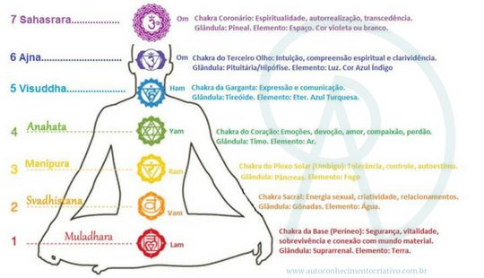 Pulseira com Pedras Vulcânicas, dos 7 Chakras 7e50 ja com portes