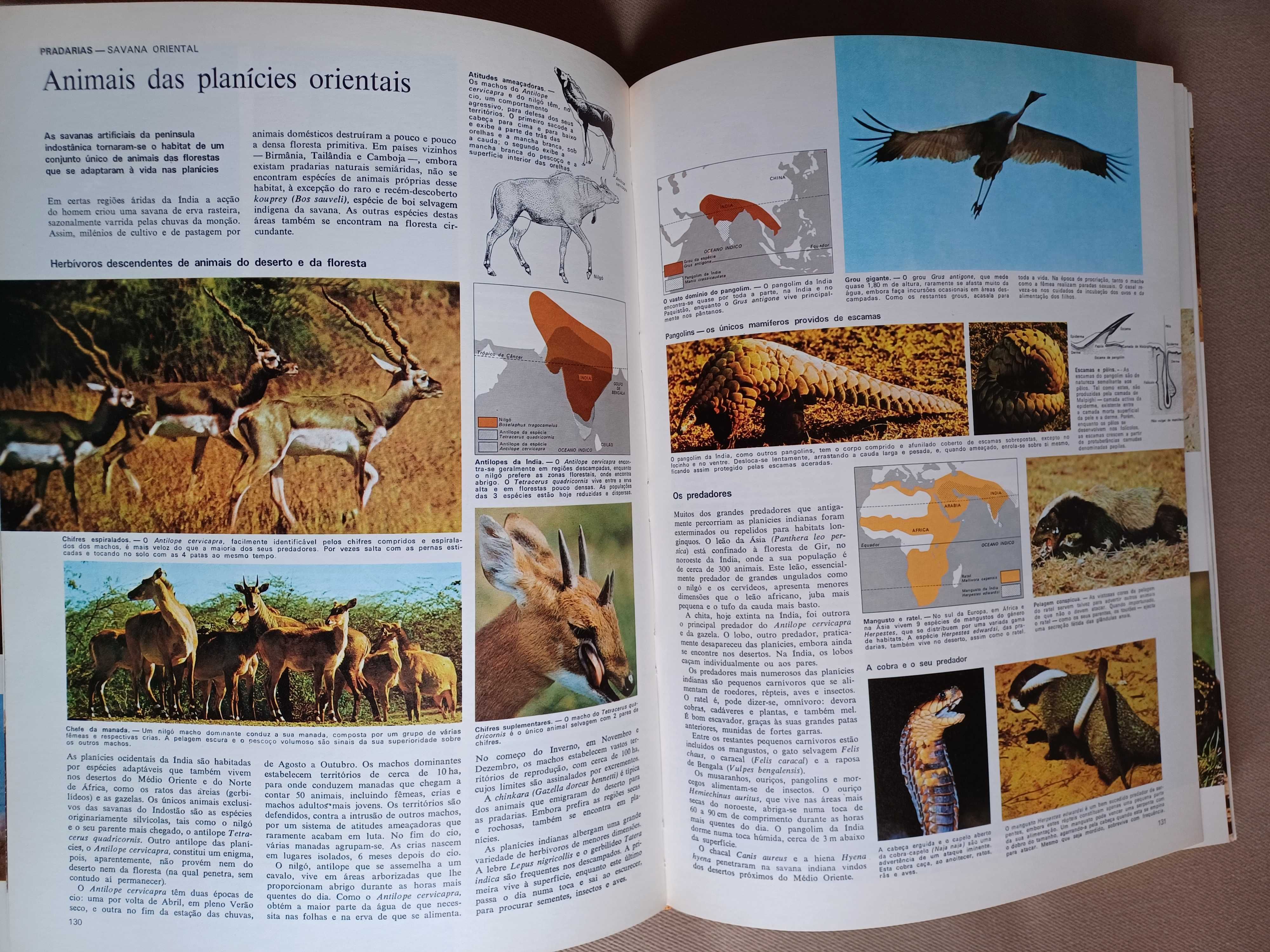 Animais da Terra - Selecções Reader's Digest