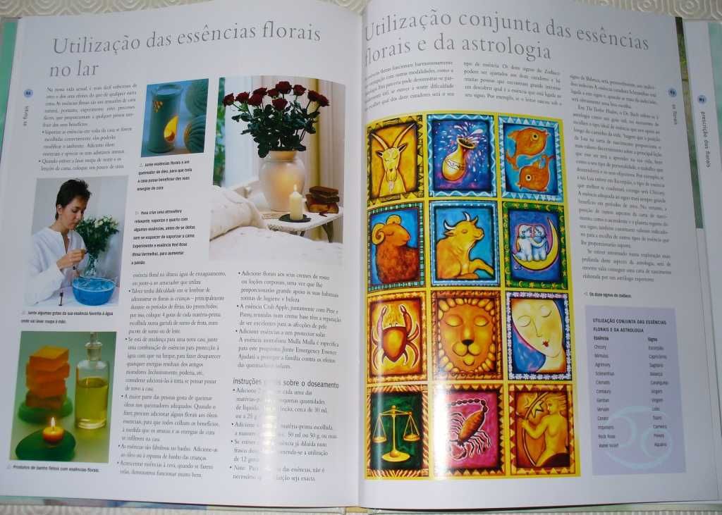 OS REMÉDIOS FLORAIS DE BACH poderes curativos naturais d essenc flores
