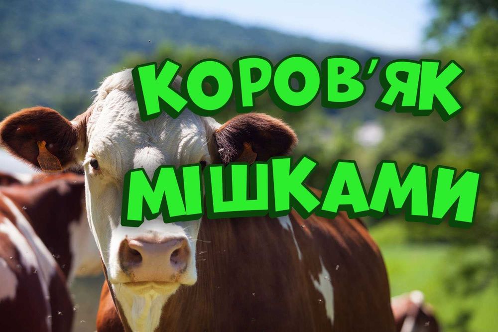 Мешок коровяка - урожай наверняка!