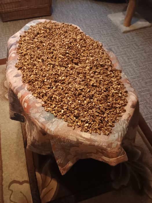 Orzech włoski łuskany 30 zł