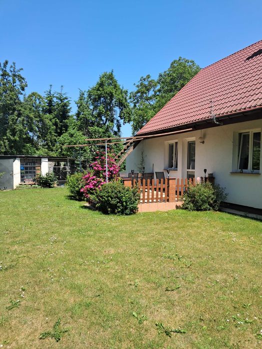 Dom z dużą działką